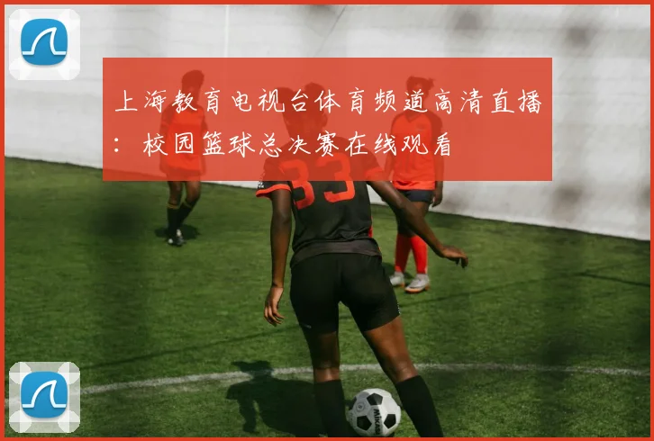 上海教育电视台体育频道高清直播：校园篮球总决赛在线观看