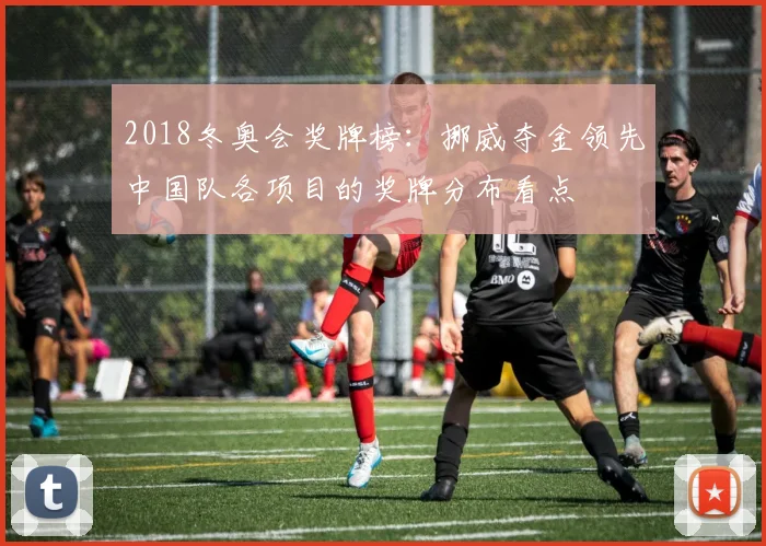 2018冬奥会奖牌榜：挪威夺金领先中国队各项目的奖牌分布看点